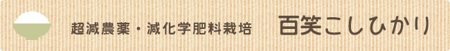 超減農薬コシヒカリ「百笑コシヒカリ」